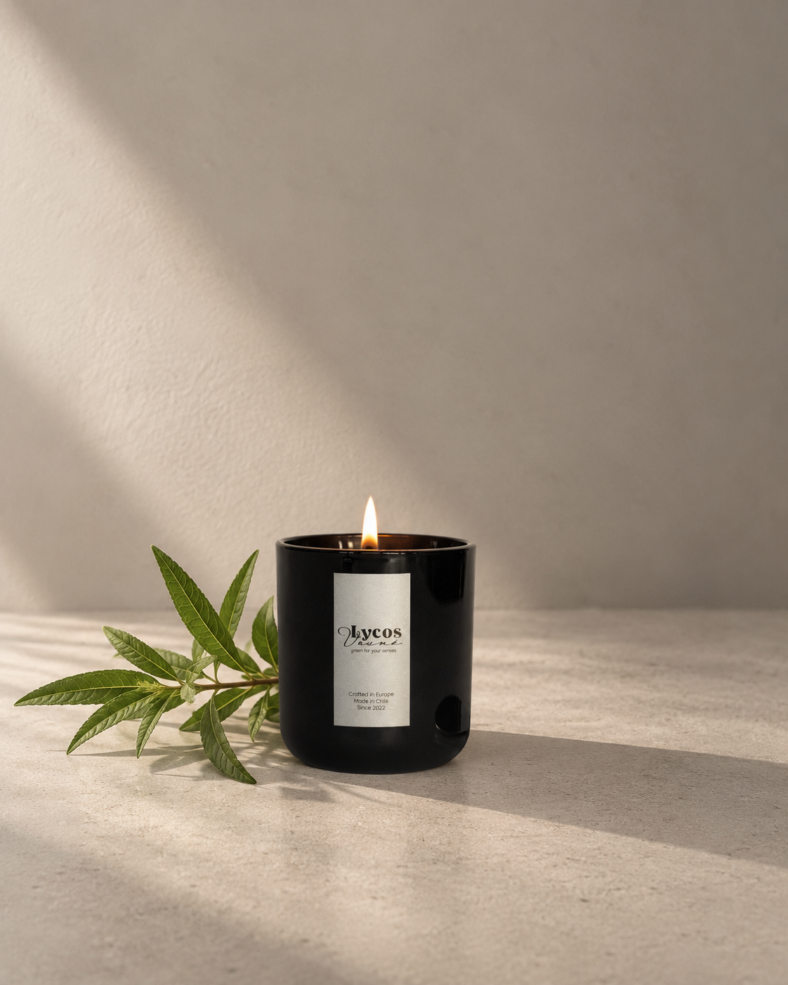 Verbena Moustiers - Vela Aromática
